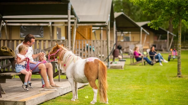 Farmcamps De Smulhoeve Beoordeling