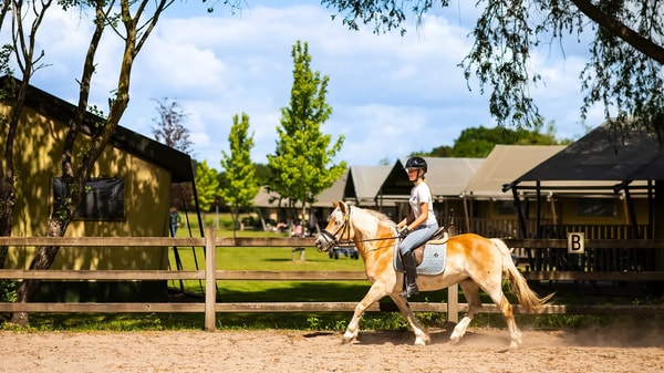 FarmCamps De Smulhoeve Bewertung