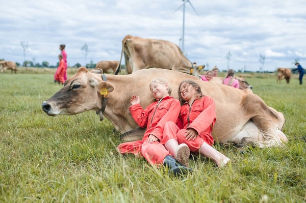 FarmCamps BoeBaDoe Bewertung