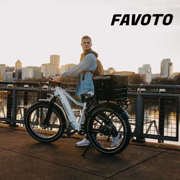 Overview of Favoto