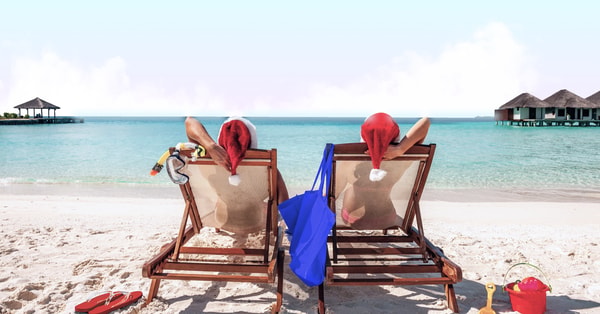 Faye Travel Insurance Plan Review