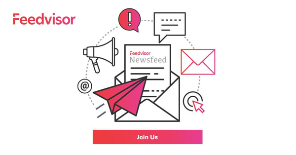 Feedvisor360 Dynamic Pricing Platform Review