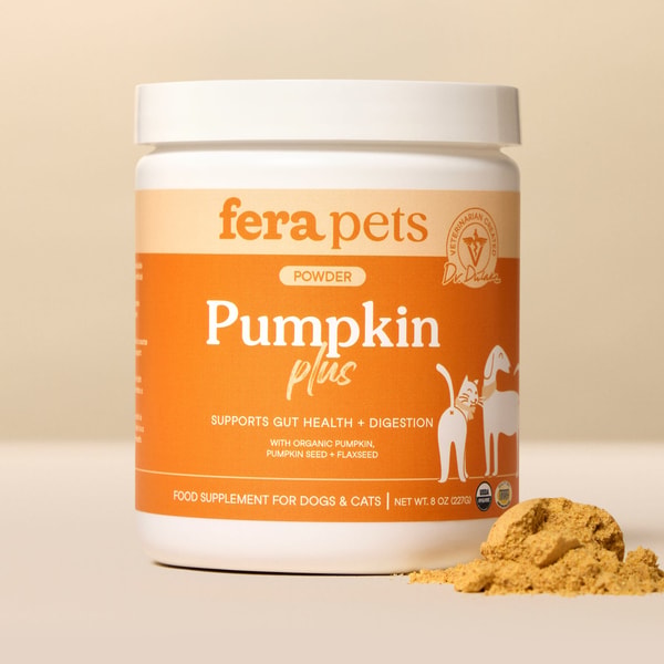 Fera Pets Pumpkin Plus Fiber Support Review