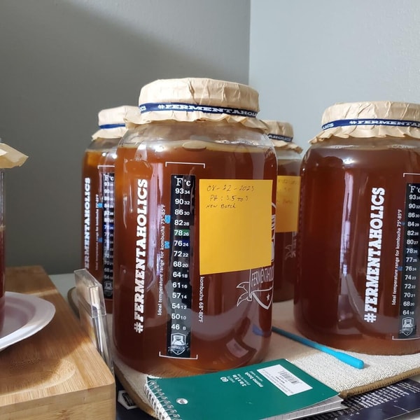 Fermentaholics Review