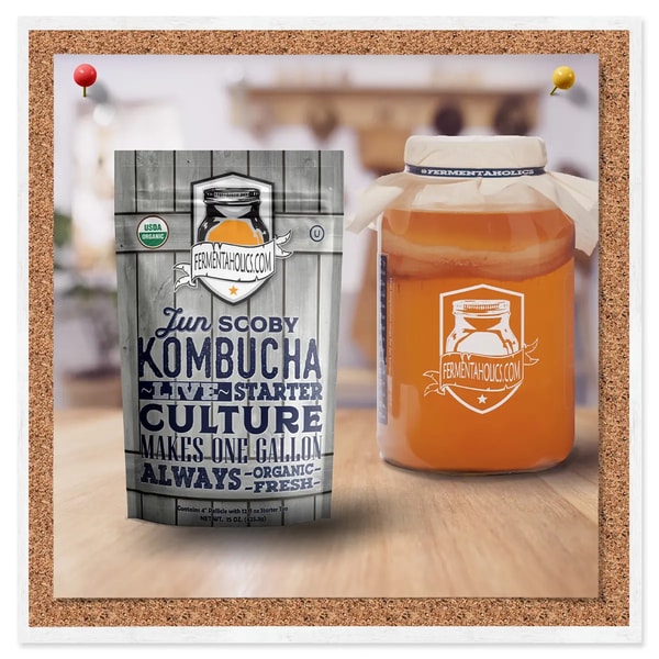 Fermentaholics Organic Jun Kombucha SCOBY Review