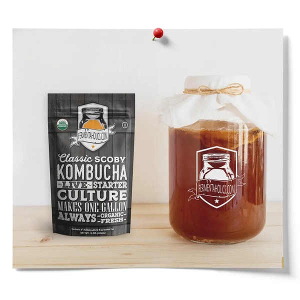 Fermentaholics Classic Kombucha SCOBY Review