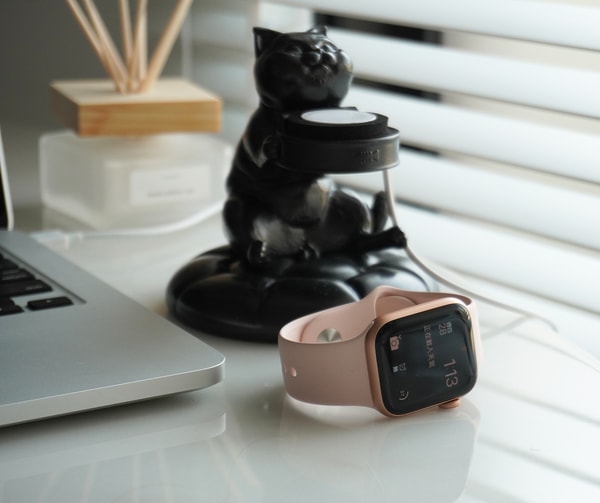 Fiber Watch 评测