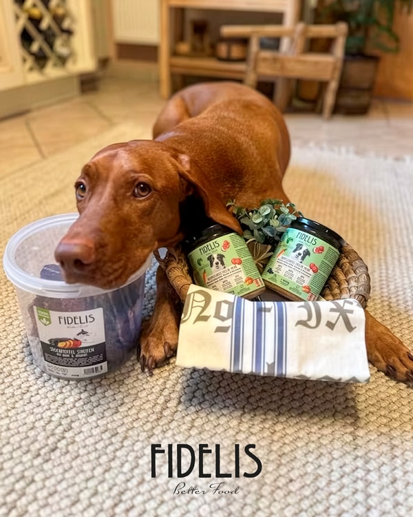 Pr&eacute;sentation g&eacute;n&eacute;rale de Fidelis