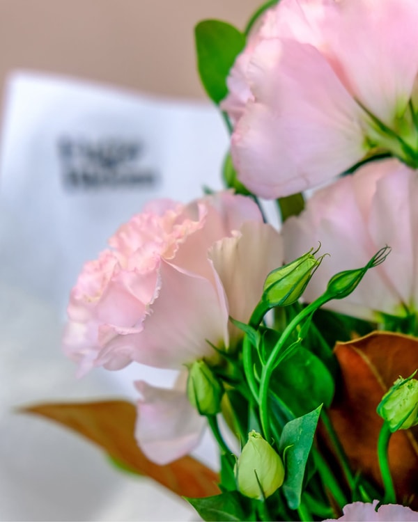 About Fig & Bloom