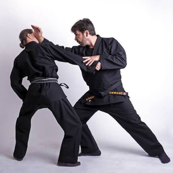 About Fighters