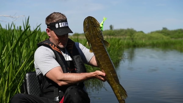 Fishing Tackle & Bait Review