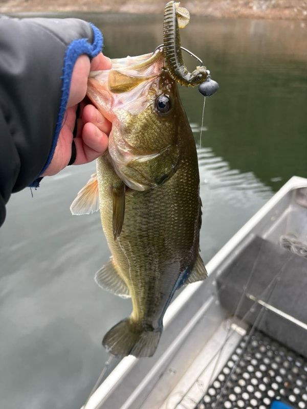 Fishing Waveについて