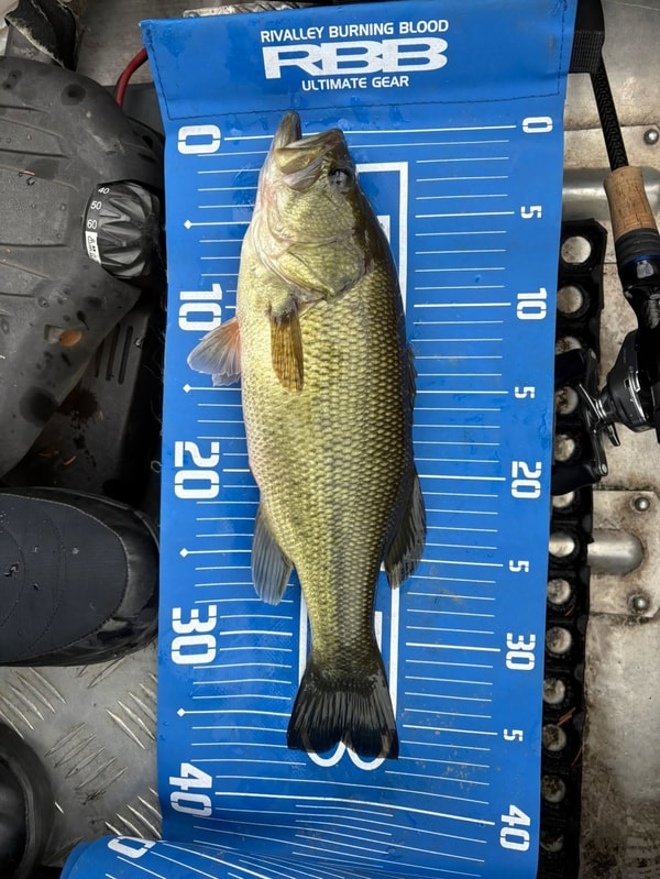 Fishing Waveの概要