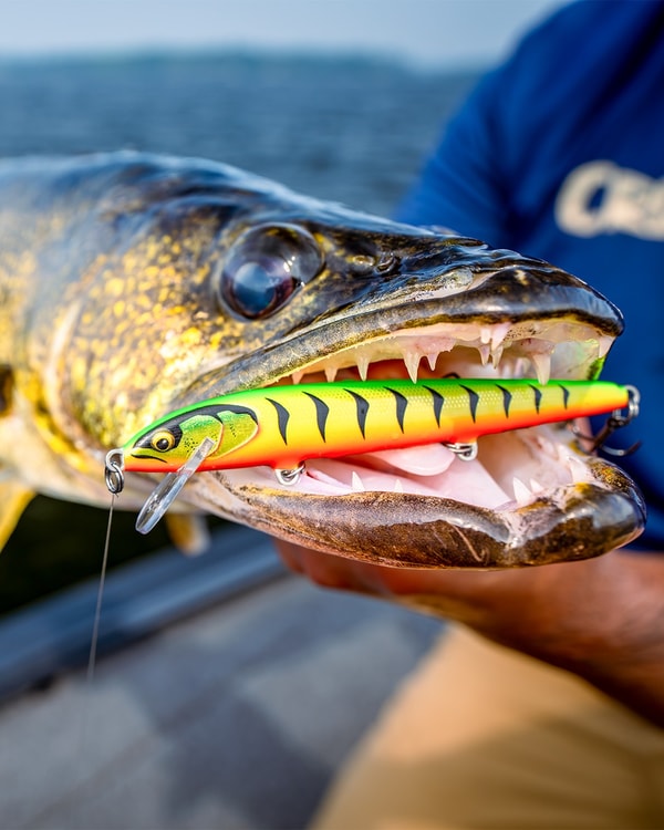 FishUSA Review