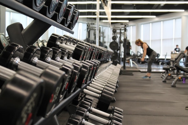 About Fitness Assistant