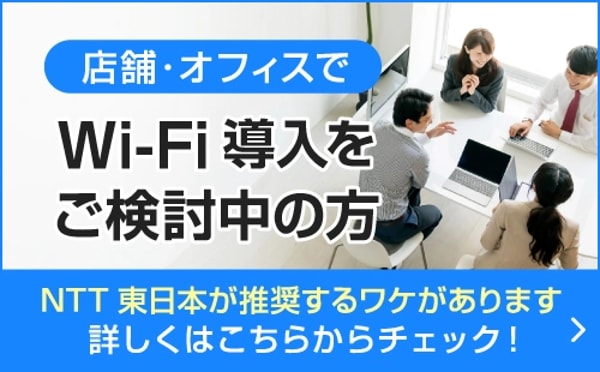 FLET'S Hikari Next レビュー