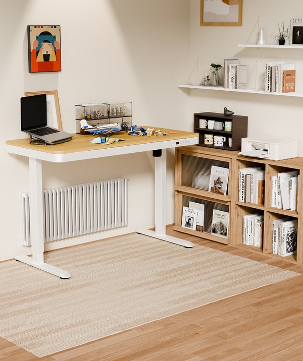 FlexiSpot All-in-One H&ouml;henverstellbarer Schreibtisch Bewertungen