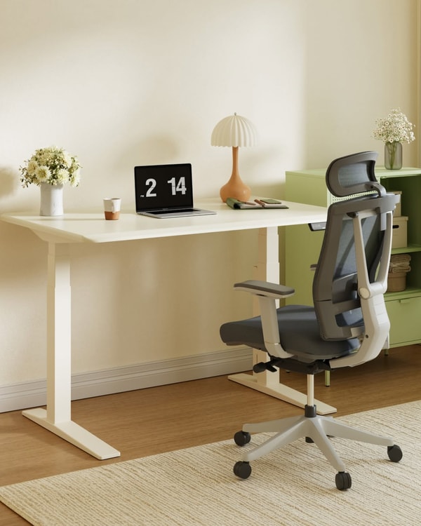 FlexiSpot Recenzja