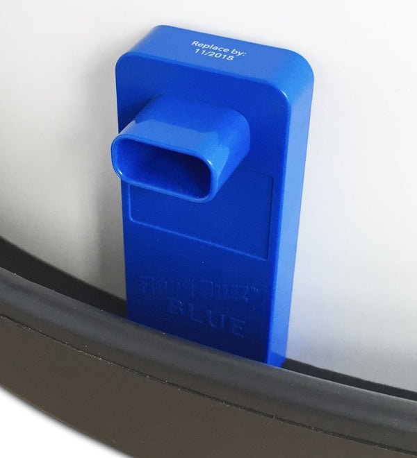 Flood Buzz Blue Review