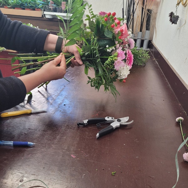 Flora Trans Bewertung