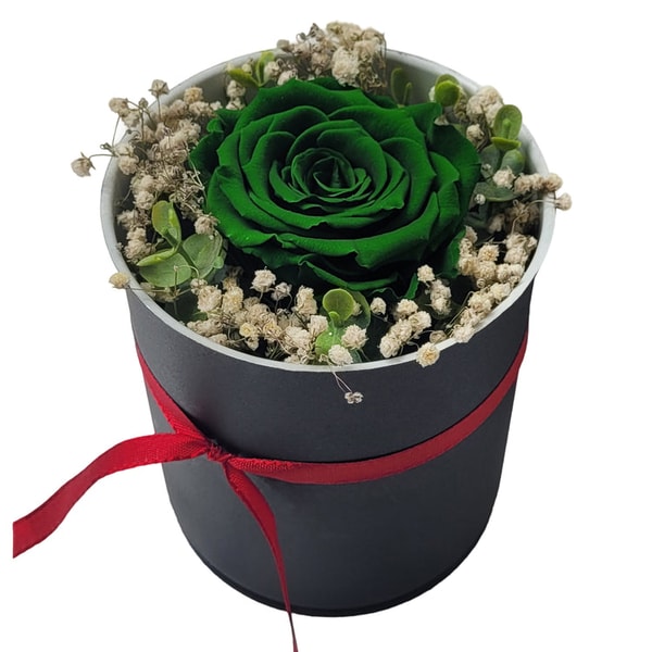 Flora Trans Ewige Gl&uuml;ck Rose Bewertung