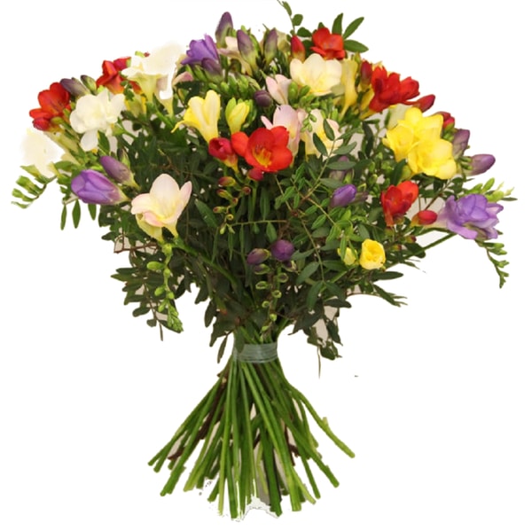 Flora Trans ❉ Bl&uuml;tenduft ❉ Freesienstrau&szlig; Bewertung
