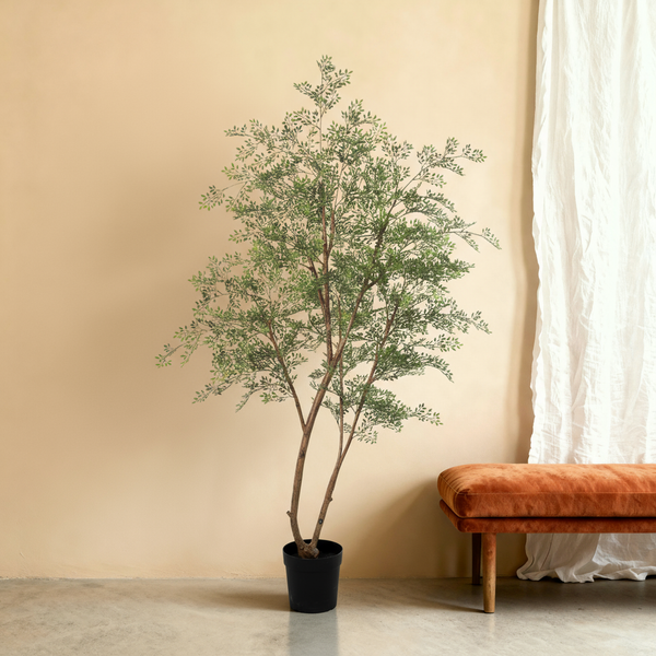 Florafy Kunstplant Ficus Cassia Beoordeling
