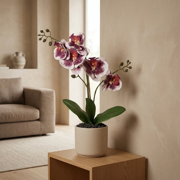 Florafy Beoordeling