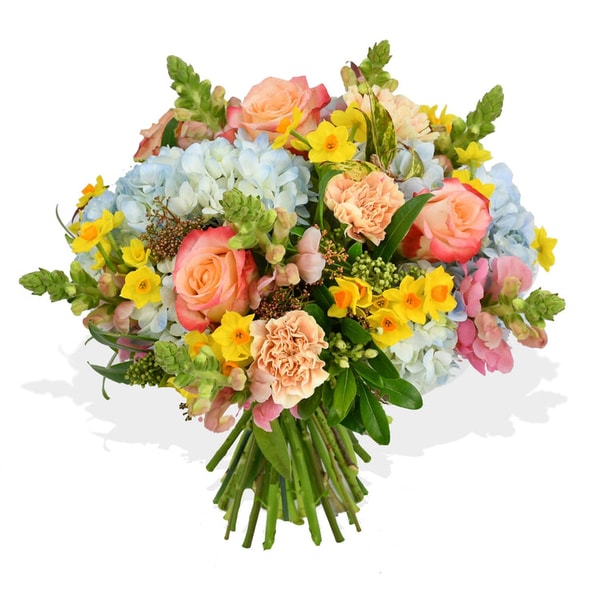 Flowers & Plants Co. Joie De Vivre Review