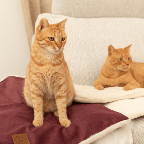 Fluff & Boots Portable Lounge Mat Review