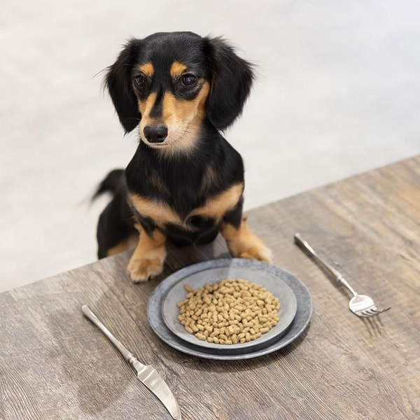 Food Heritage PUPPY-no GOHAN レビュー