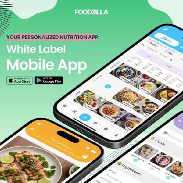 Overview of Foodzilla