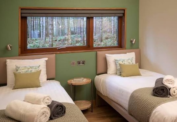 About Forest Holidays
