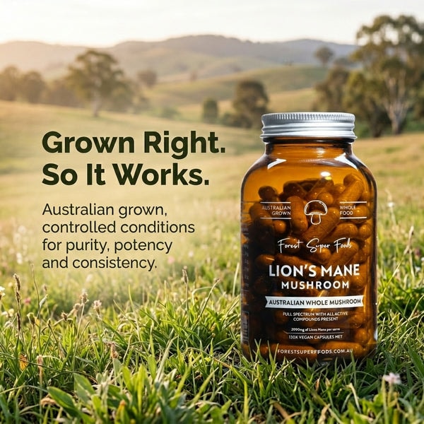Forest Super Foods Lion's Mane Capsules Review