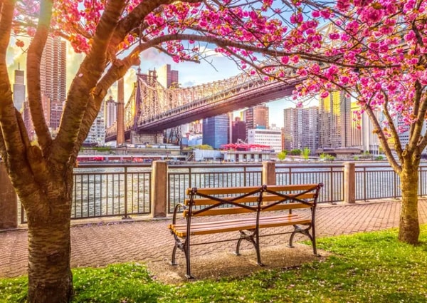 Fou de Puzzle Puzzle New York 500 pi&egrave;ces Avis