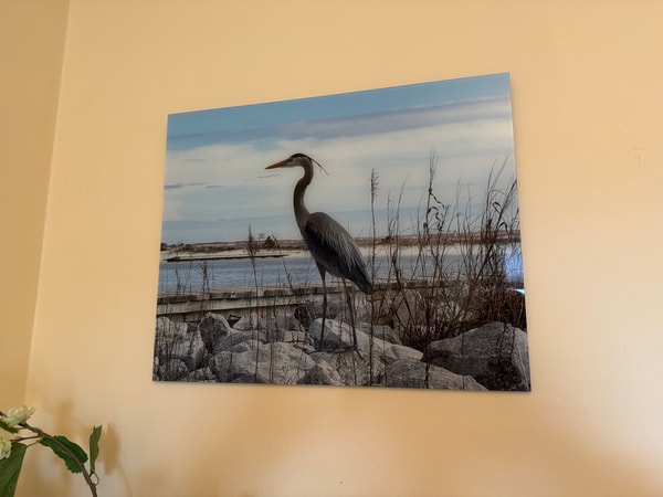 Frameology Glass Print Review