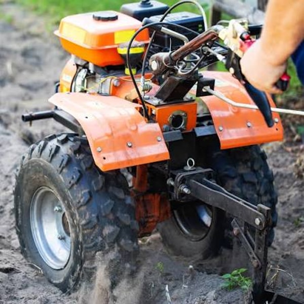 Franchini Shop Recensione