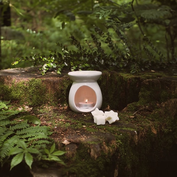 Freckleface Home Fragrance Soya Pick and Mix Wax Melts Reviews
