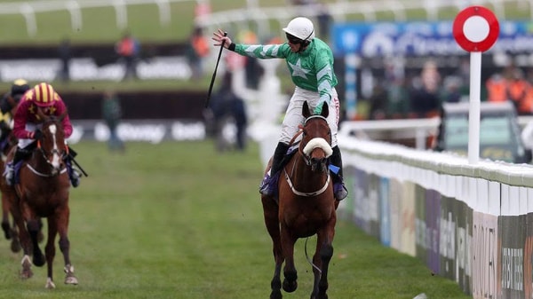 Free Racing Tips Review