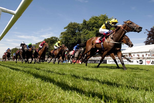 Free Racing Tips Premium Subscription Review