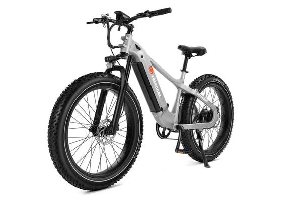 Freedare Saiga Fat Tire Mountain eBike Review