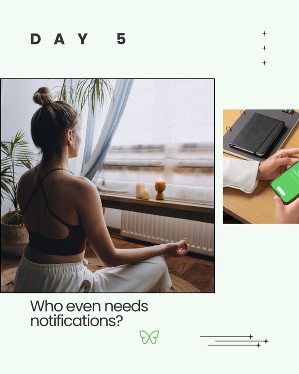 Freedom Review