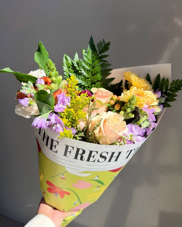 Fresh Sends Review