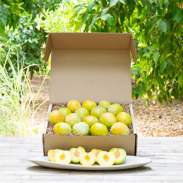 Frog Hollow Farm Organic Emerald Beaut Plums Review