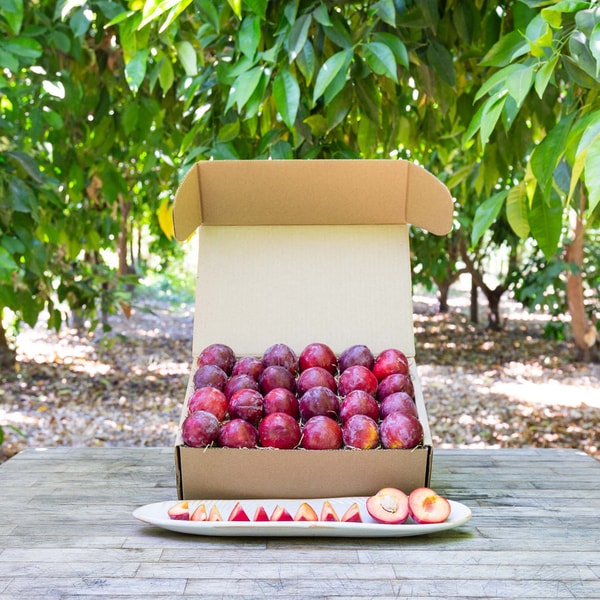 Frog Hollow Farm Organic Flavor King Pluots Review
