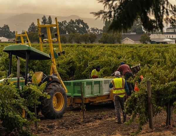 Frog's Leap Winery Shale & Stone Chardonnay Review