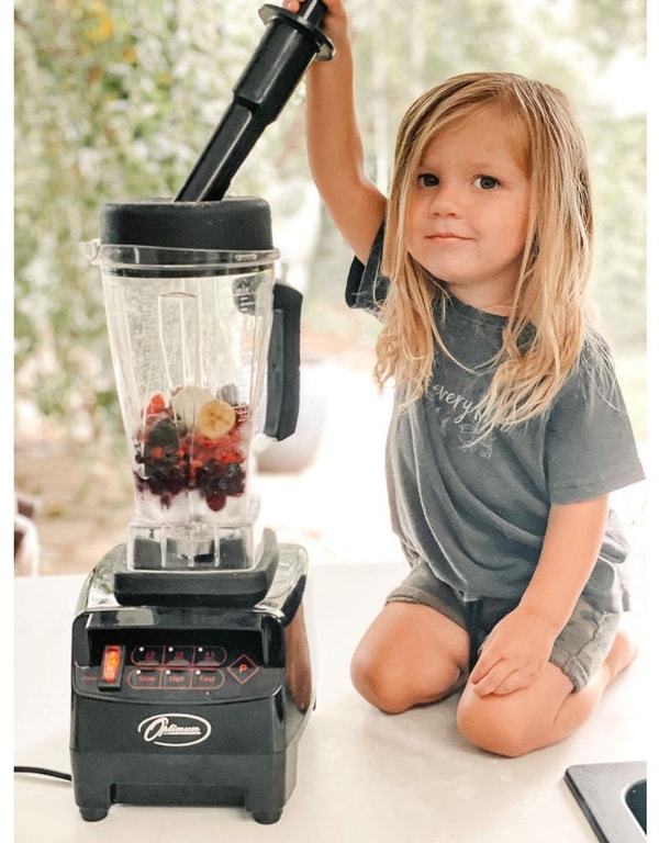 Froothie Optimum 9200A Reviews
