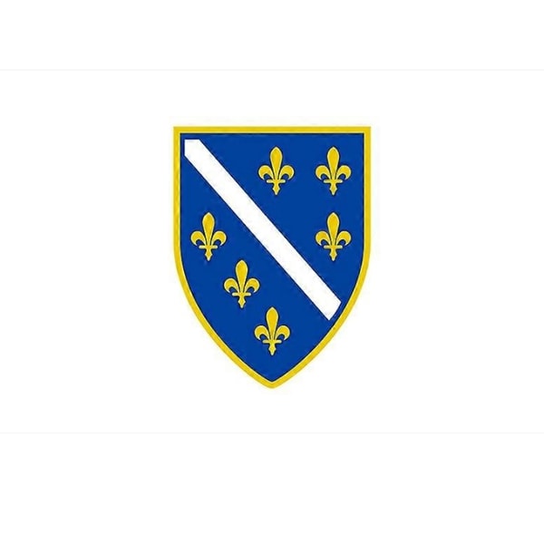 Fruugo 90x150cm Bosnien und Herzegowina BA Flagge Polyester gedruckt Geschichte Dekoration Banner Bewertung