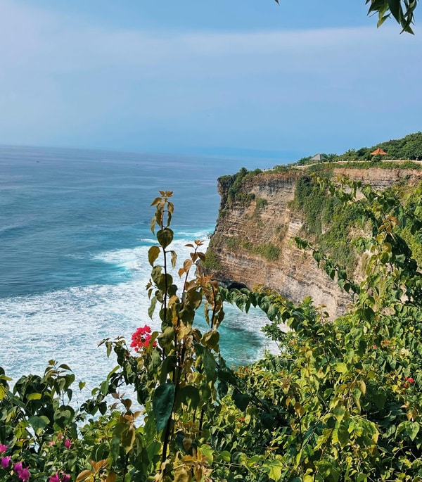 FTLO Travel Review