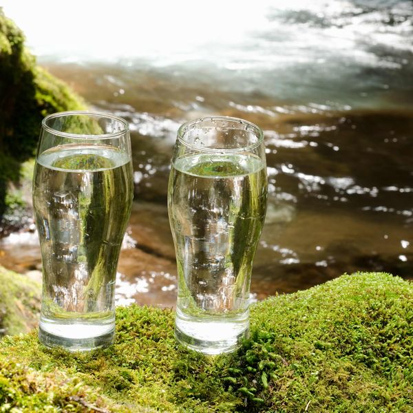 Fuji Water レビュー